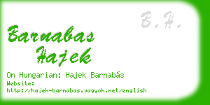 barnabas hajek business card