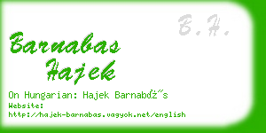 barnabas hajek business card